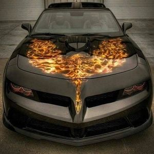 Meet your Posher, Dave